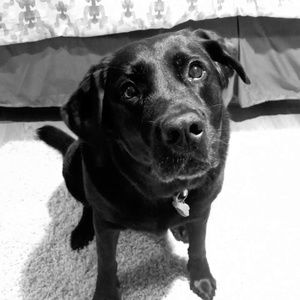 Meet your Posher, Jenna